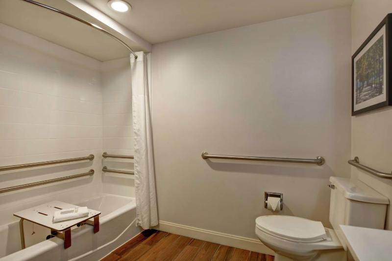 Double Room with Tub - Mobility and Hearing Accessible/Non-Smoking image 3
