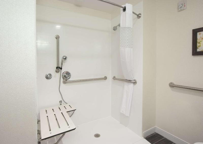 King Room with Roll-In Shower - Mobility and Hearing Access/Non-Smoking image 2