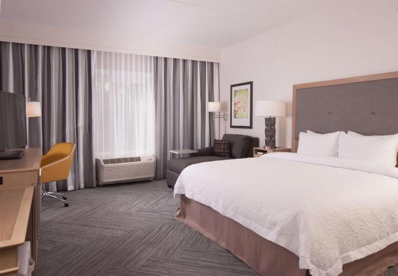King Room with Roll-In Shower - Mobility and Hearing Access/Non-Smoking image 3