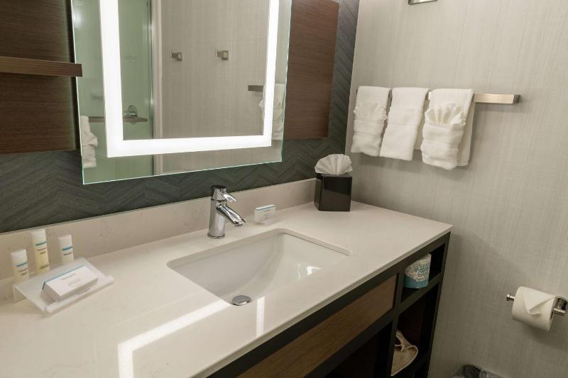 One-Bedroom King Suite - Non-Smoking image 3