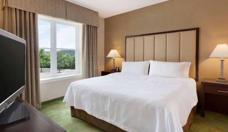 One-Bedroom King Suite - Non-Smoking image 4
