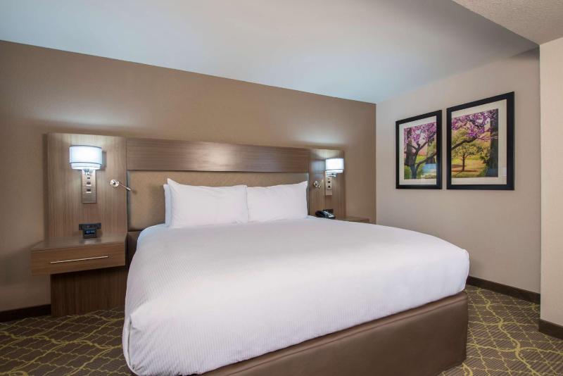 Junior King Suite with Sofa Bed image 2