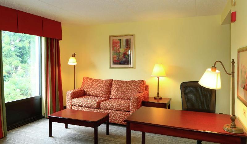 King Studio Suite - Non-Smoking image 3