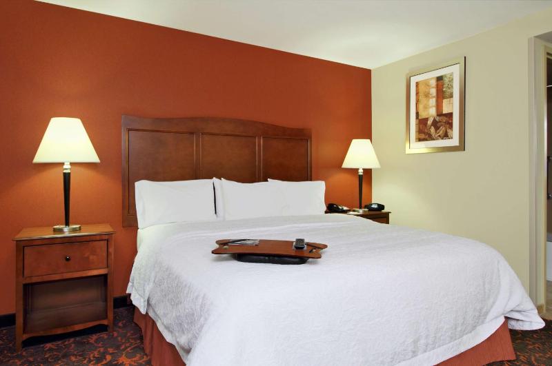 King Room with King Bed - Non-Smoking image 4