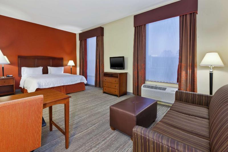 King Suite with Sofa Bed - Non-Smoking image 4