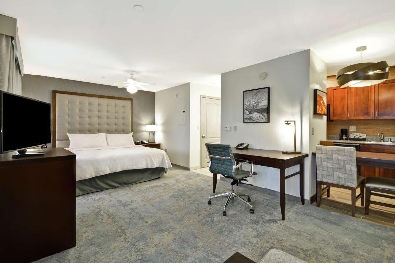 King Studio Suite - Non-Smoking image 4