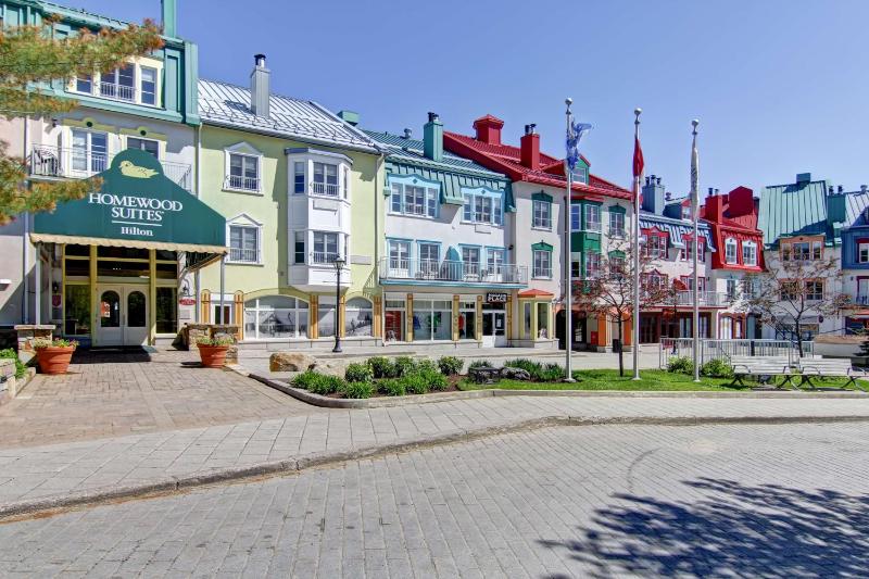 Homewood Suites By Hilton Mont Tremblant - image 1