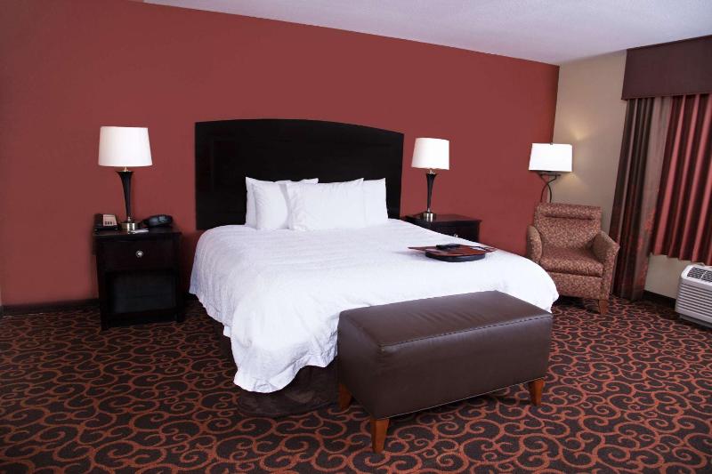 King Studio Suite with Sofa Bed - Hearing Access/Non-Smoking image 2
