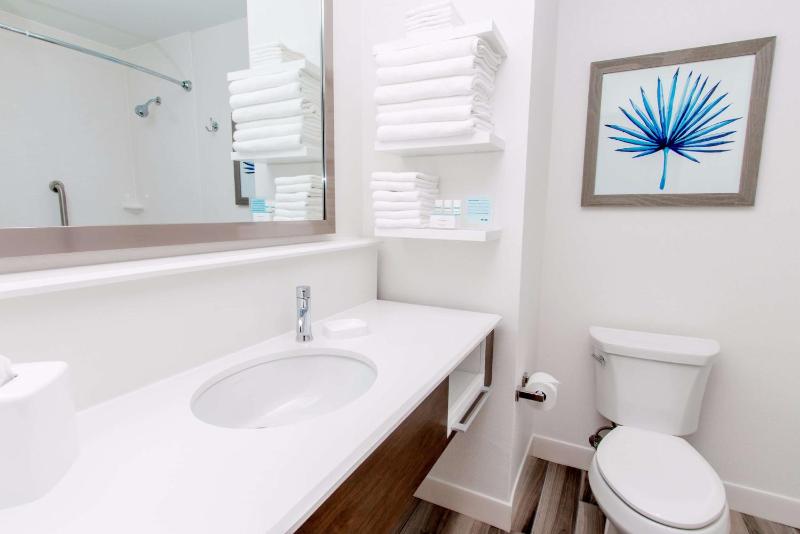 King Room with Roll-in Shower - Mobility Accessible - Non-Smoking image 2