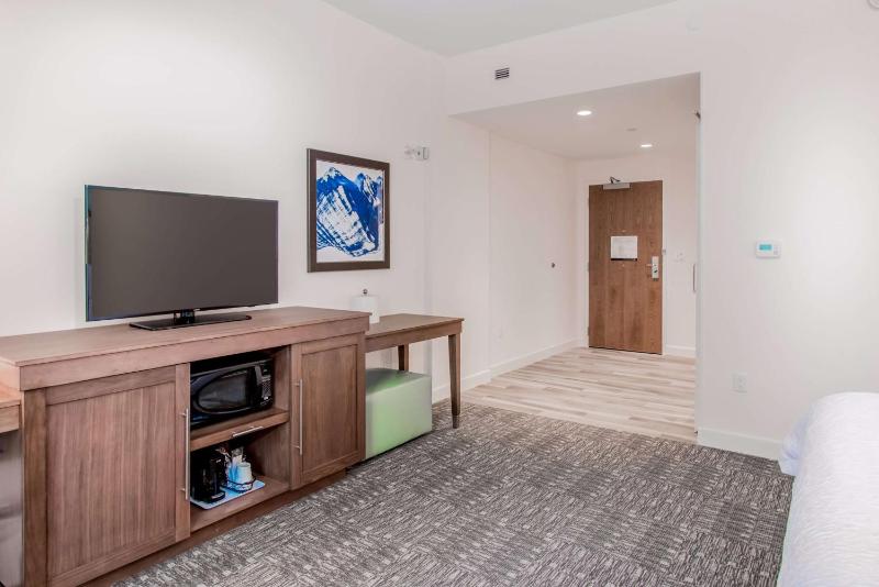 King Room with Roll-In Shower and Sofa Bed - Mobility/Hearing Accessible Non-Smoking image 3