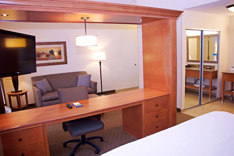 King Studio Suite with Sofa Bed - Non-Smoking image 4