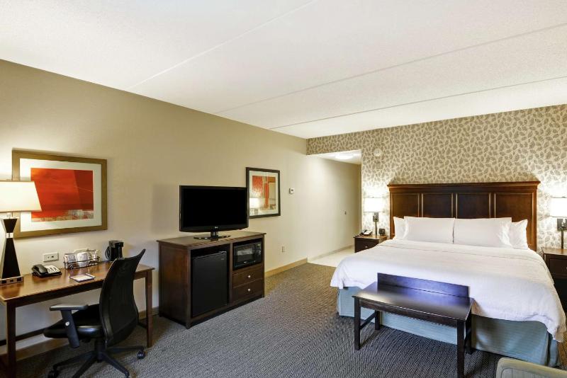 King Studio Suite with Sofa Bed - Non-Smoking image 1