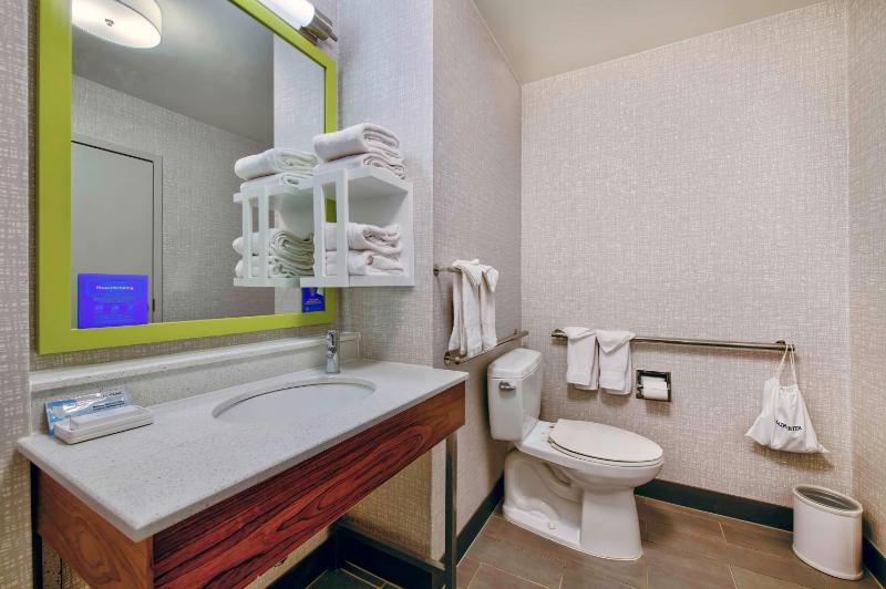 King Studio with Roll-In Shower - Mobility Access/Non-Smoking image 3