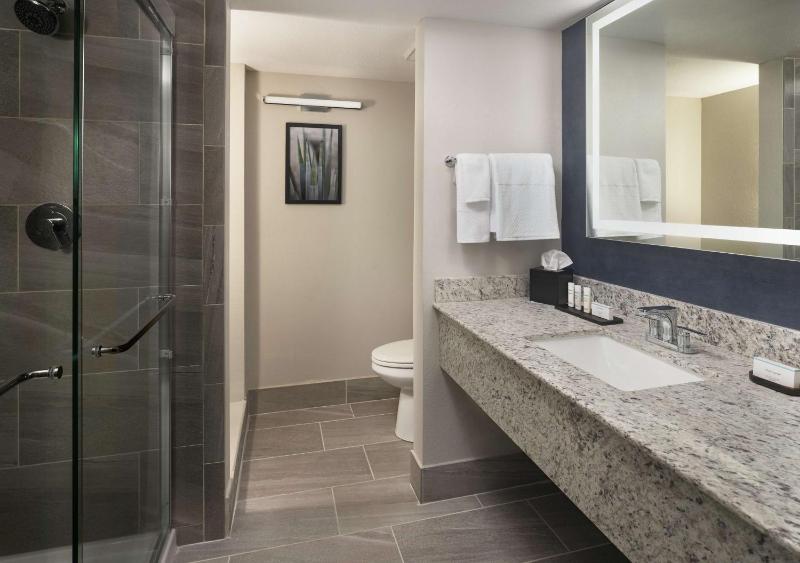 Embassy Suites by Hilton Tucson East - image 29