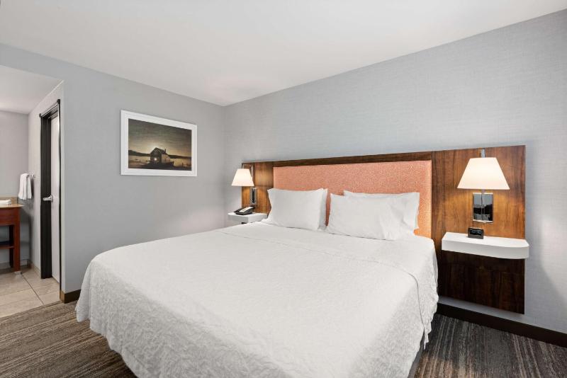 Non-Smoking King Studio Suite with Sofa Bed image 1