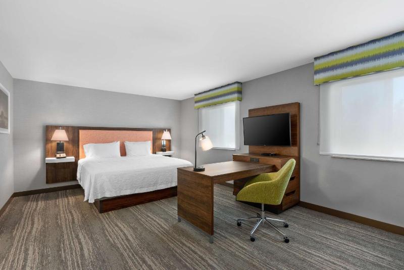 Non-Smoking King Studio Suite with Sofa Bed image 4