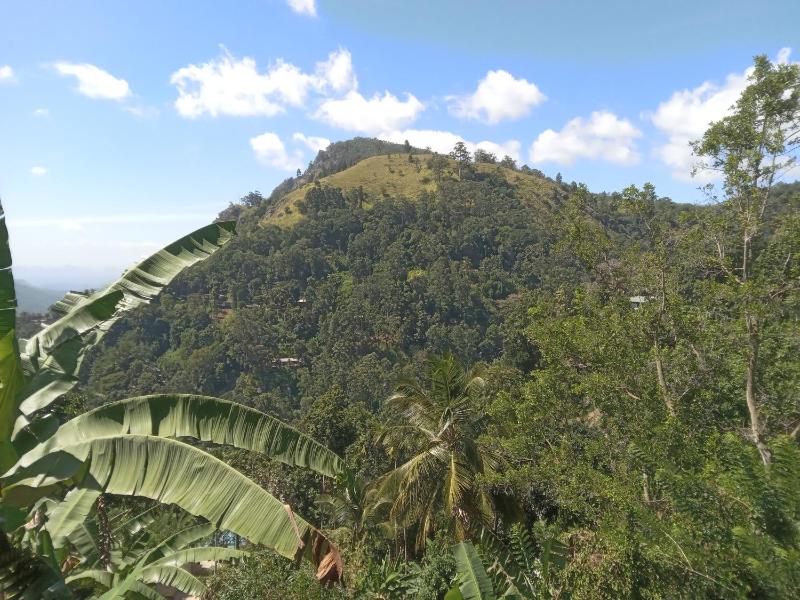 Chamodya Home Stay - image 20