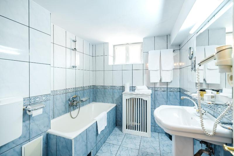 Hotel Imparatul Romanilor Hotel & SPA - image 47