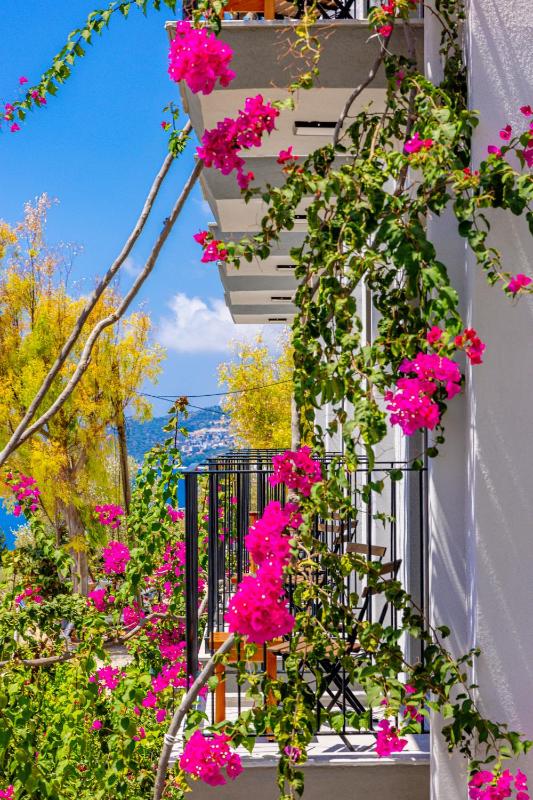 Aphrodite Hotel Kaş - image 10
