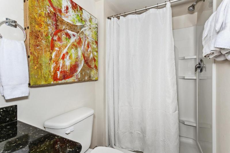 405E Regency Towers - image 13