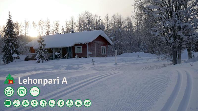Small Cottage with Sauna image 1