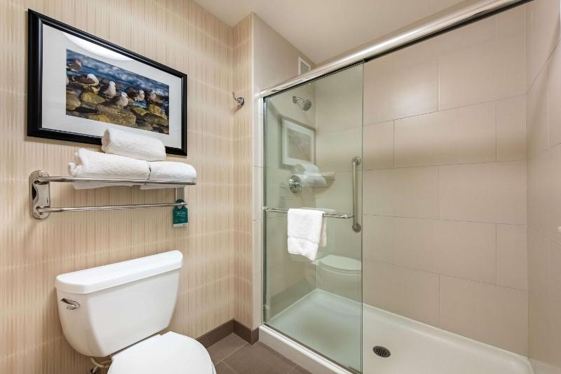 King Studio Suite - Non-Smoking image 3