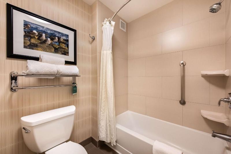 One-Bedroom King Suite - Non-Smoking image 2