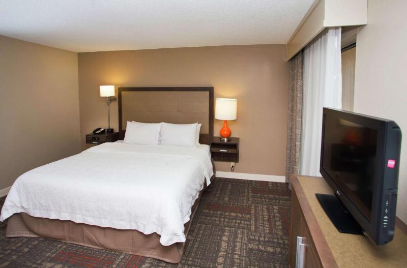 King Studio Suite with Sofa Bed - Non-Smoking image 2