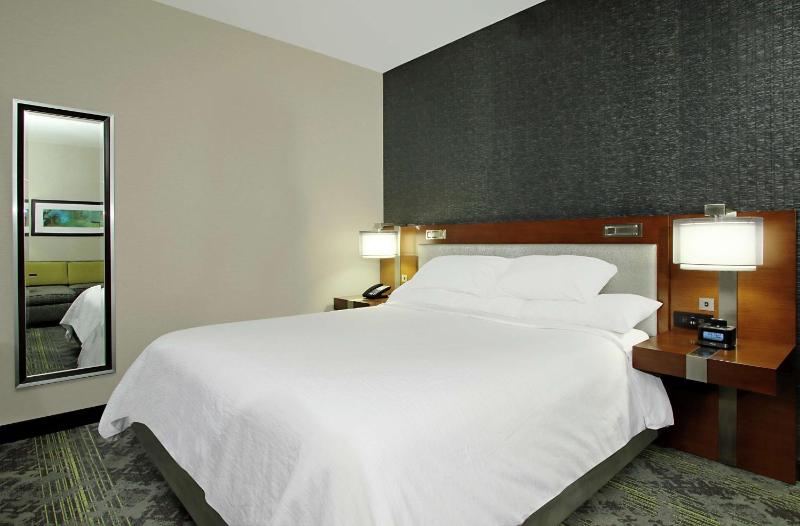 Embassy Suites By Hilton Pittsburgh-Downtown - image 49