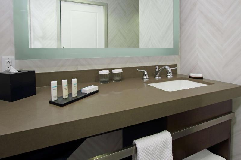Embassy Suites By Hilton Pittsburgh-Downtown - image 26