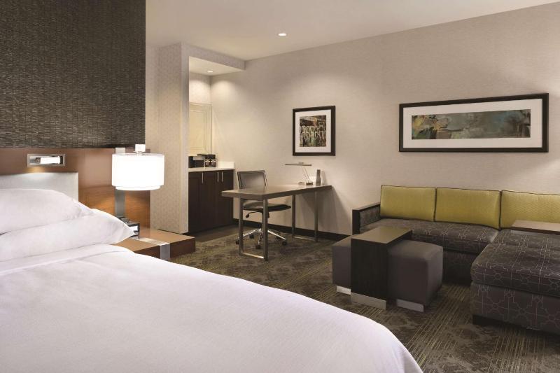 King Studio Suite image 3