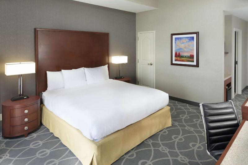 Premium King Room - Non-Smoking image 3