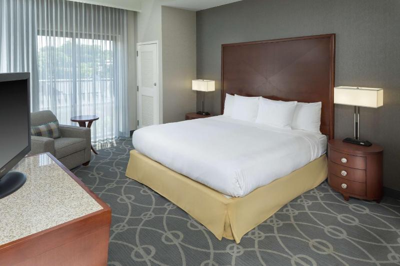 Premium King Room - Non-Smoking image 2