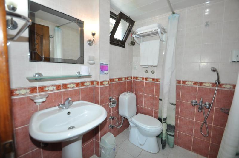 Deluxe Double Room (2 Adults + 1 Child) image 1