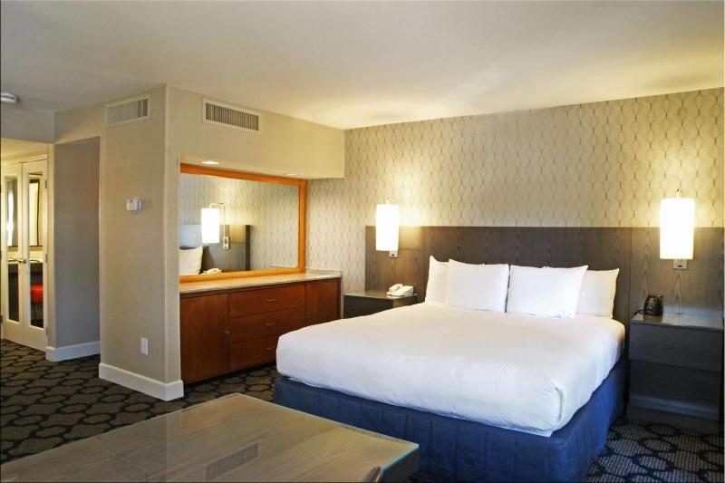 Hilton Palm Springs - image 11