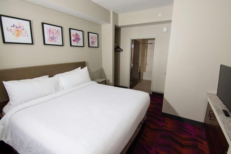 One-Bedroom King Suite with Sofa Bed image 3