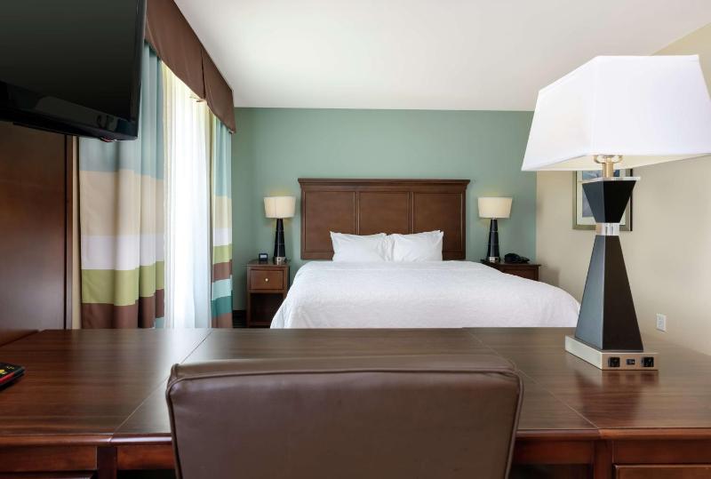 King Studio Suite - Non-Smoking image 4