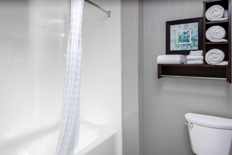 One-Bedroom King Suite - Non-Smoking image 2