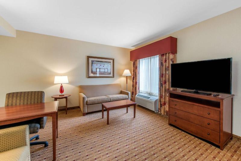 King Studio Suite with Sofa Bed - Non-Smoking image 3