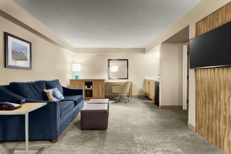 One-Bedroom King Suite - Non-Smoking image 4