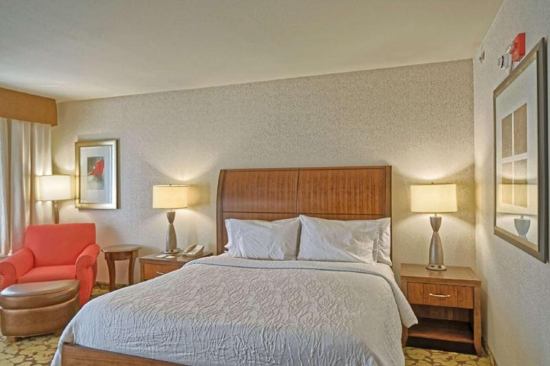 Premium King Room image 3