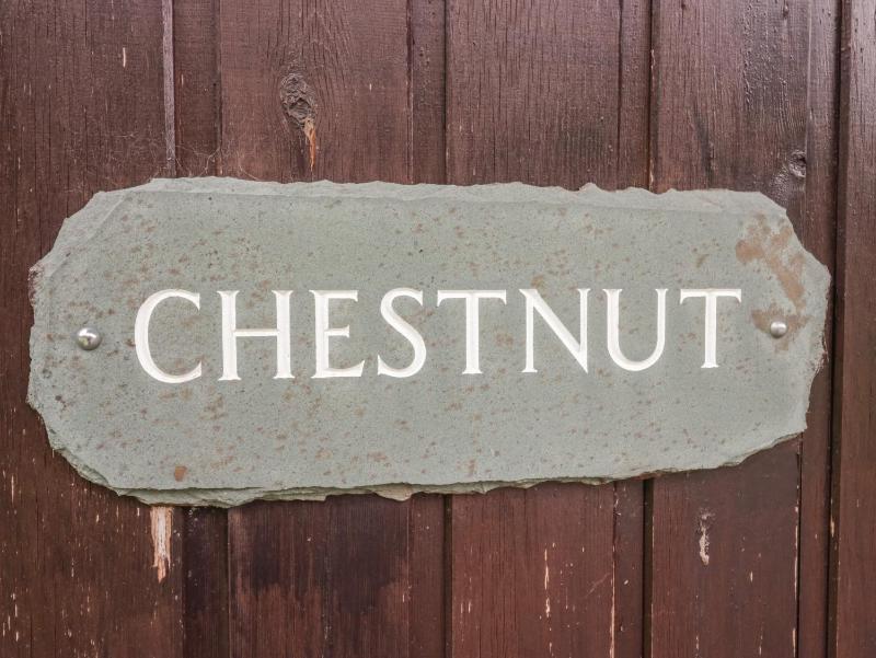 Chestnut Timber Lodge - image 20