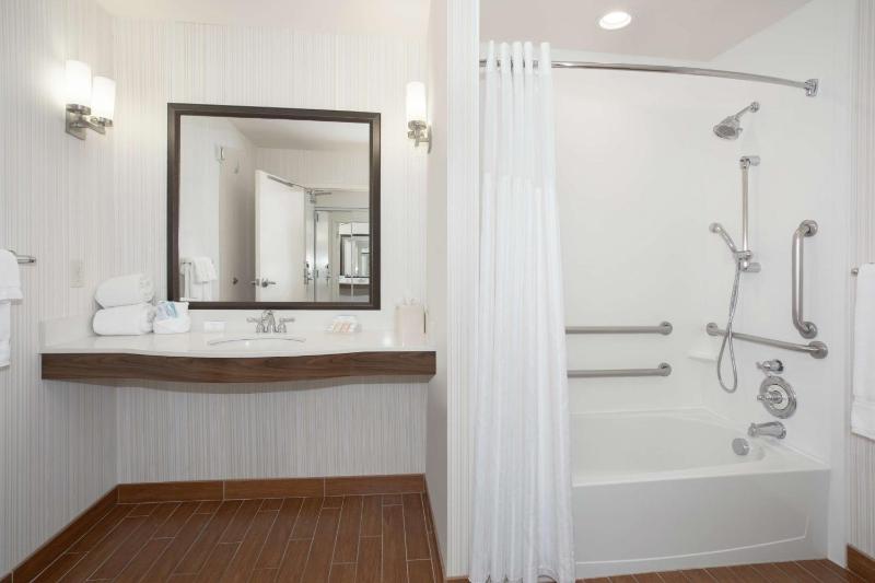 One-Bedroom King Suite image 2