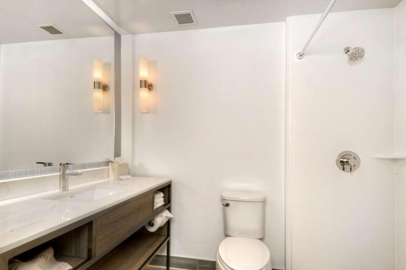 One-Bedroom King Suite image 2