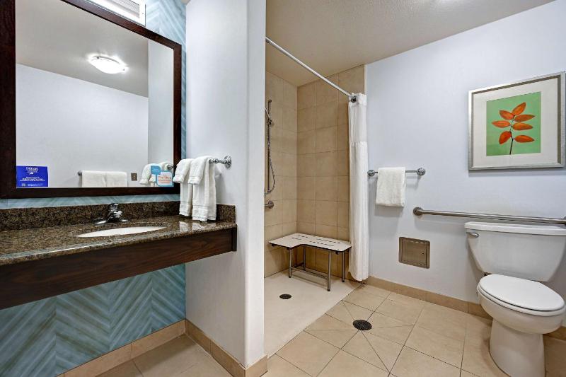 King Room with Roll-In Shower - Mobility/Hearing Accessible image 4