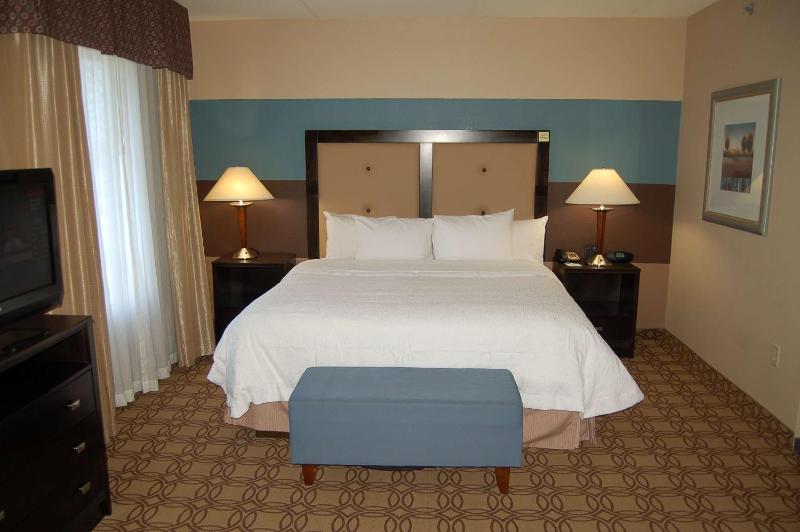 King Studio Suite with Sofa Bed - Non-Smoking image 4