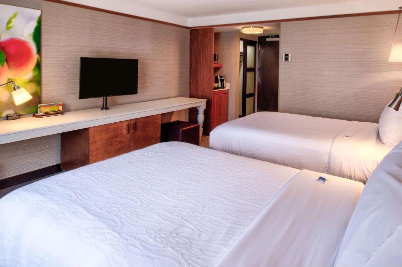 Double Room with Two Double Beds image 4