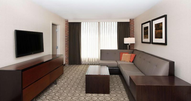 One-Bedroom King Suite with Sofa Bed - Non-Smoking image 4