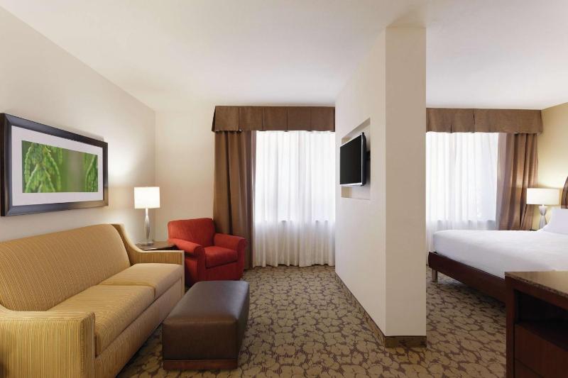 Junior King Suite with Sofa Bed image 3
