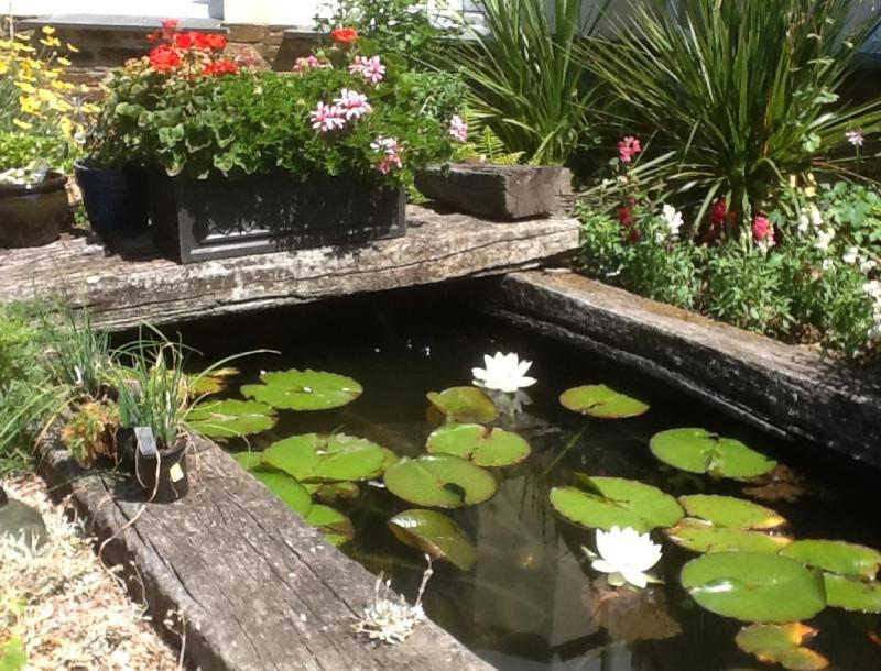 Rose in Vale Country House Hotel - image 17